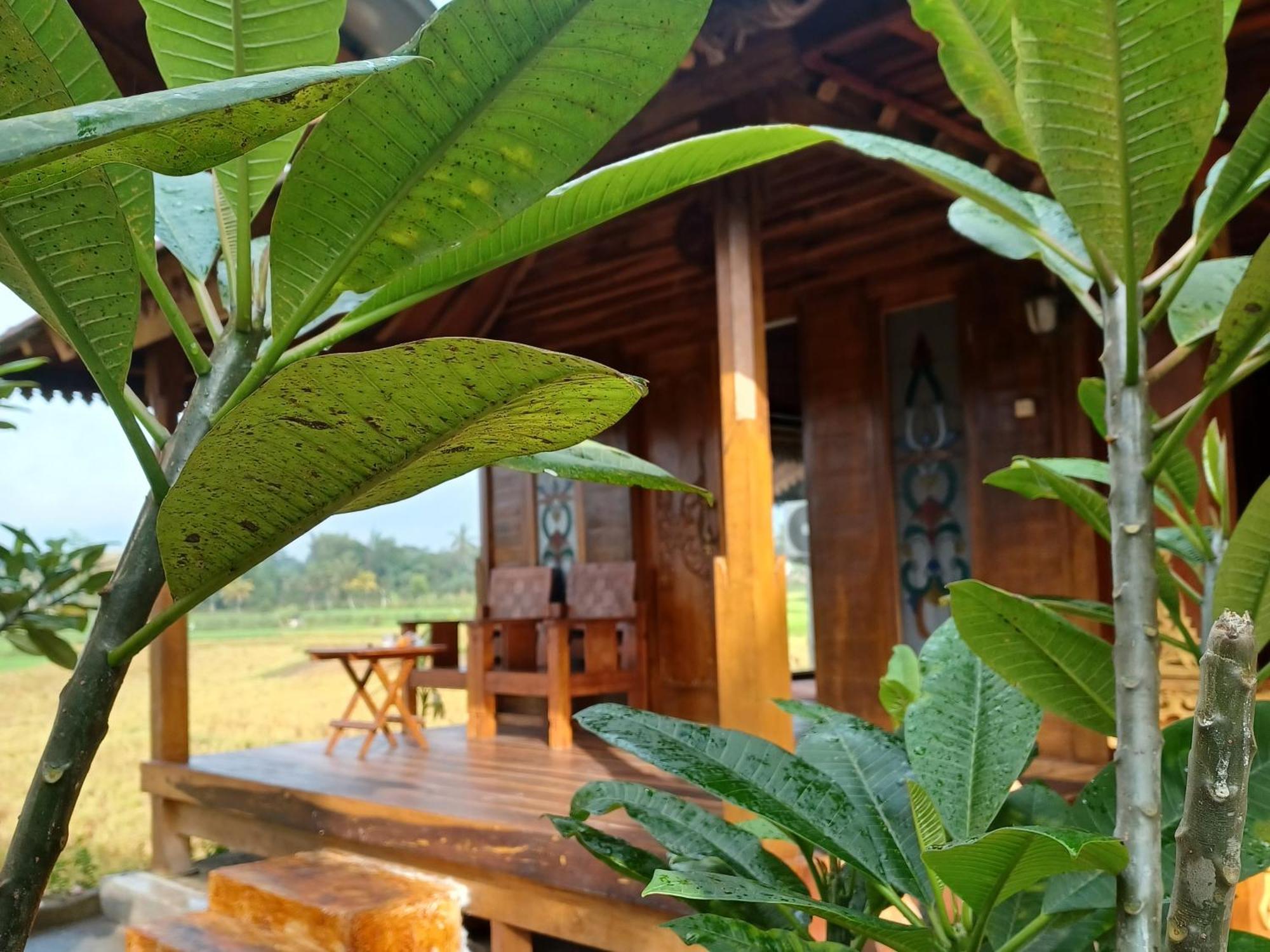 פראיה Bujak Permai Villa Matahari Lombok Ntb מראה חיצוני תמונה